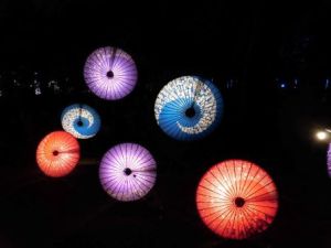 公園の夏イルミネーション[2]
