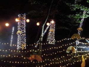 公園の夏イルミネーション[3]